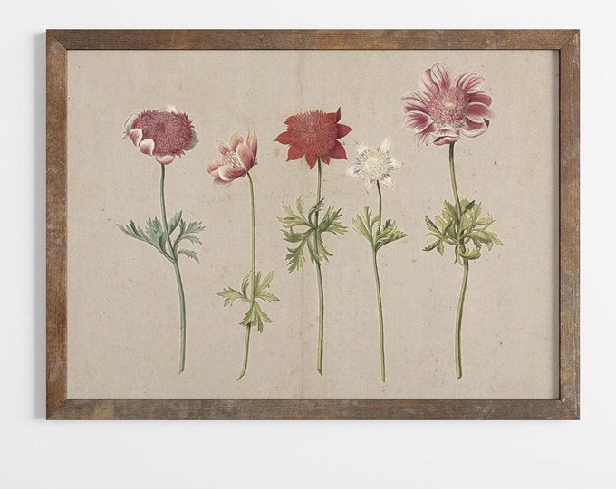 Printable Art Vintage Flowers Floral Painting Pink Flowers Botanical Downloadable Prints | Country Cottage Wall Decor Farmhouse