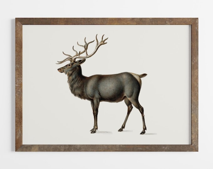 Vintage Reindeer Oil Painting Print: Rustic Winter Wall Art (Digital Download)