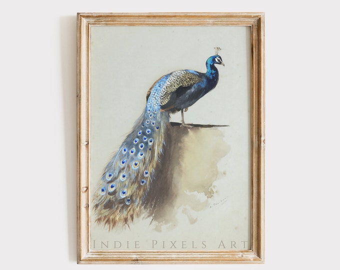 Printable Spring Wall Art Vintage Painting Peacock | Vintage Pastel Nursery Decor Art PRINTABLE Peacock Landscape Vintage Digital Download