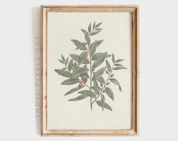 Sage Green Botanical Print Country Vintage Olive Kitchen Decor | Sage Green European Living Room Spring Decor Vintage Dining Decor PRINTABLE