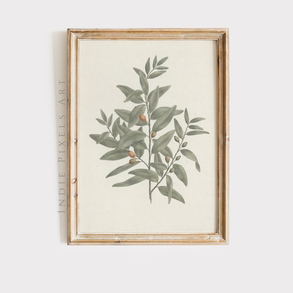 Sage Green Botanical Print Country Vintage Olive Kitchen Decor | Sage Green European Living Room Spring Decor Vintage Dining Decor PRINTABLE