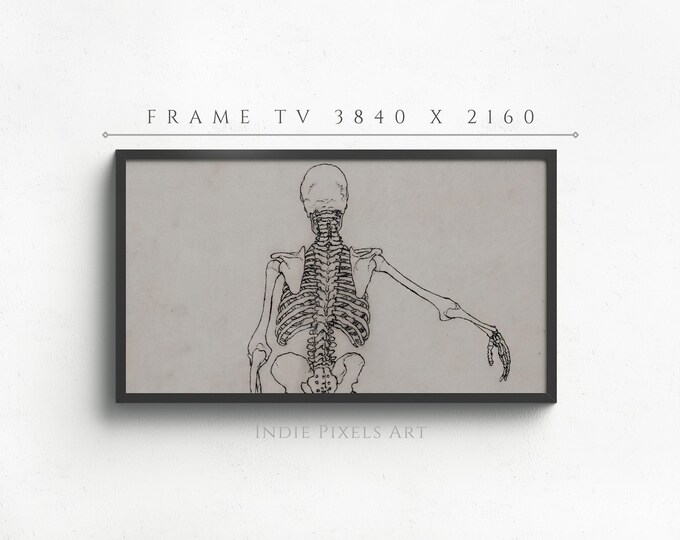 Halloween Art for Samsung Frame TV Skeleton Halloween Decor | Digital Download Halloween Art for Samsung Frame TV Art Instant Download
