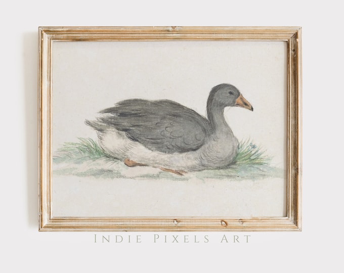 Vintage Art Prints Grey Goose Painting Digital Wall Art Cottage Decor Print | Neutral Country Spring Wall Decor PRINTABLE Farmhouse Decor