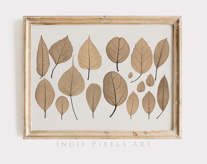 Printable Wall Art Vintage Pressed Leaves Digital Print Vintage Thanksgiving Botanical Print Farmhouse Decor Simple Neutral Fall Art