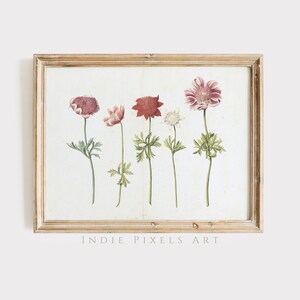 Vintage Flowers Digital Print Still Life Painting Pink and White Flowers Botanical | Country Cottage Farmhouse Wall Decor PRINTABLE Art
