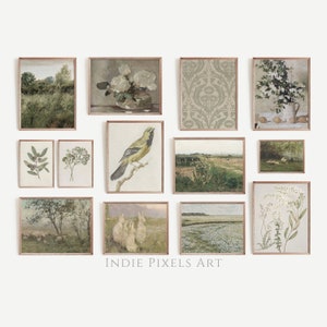 Neutral Cottage Gallery Wall Set of 13 Vintage Prints | Sage Green European Living Room Spring Country Decor Vintage Dining Decor Printable