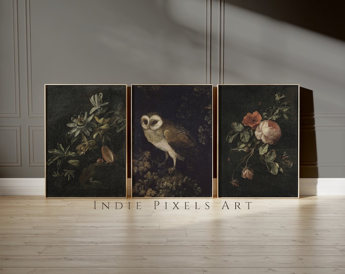 Moody Dark Vintage Art Print Set of 3 Moody Maximalist Printable Wall Art Dark Floral Prints Moody Vintage Wall Decor Digital Antique Art