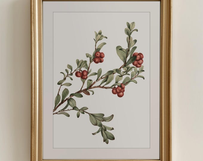 Simple Christmas Wall Art Winter Berry Branch PRINTABLE Vintage Holiday Art Prints | Vintage Cottage Christmas Decor Holiday Farmhouse Decor