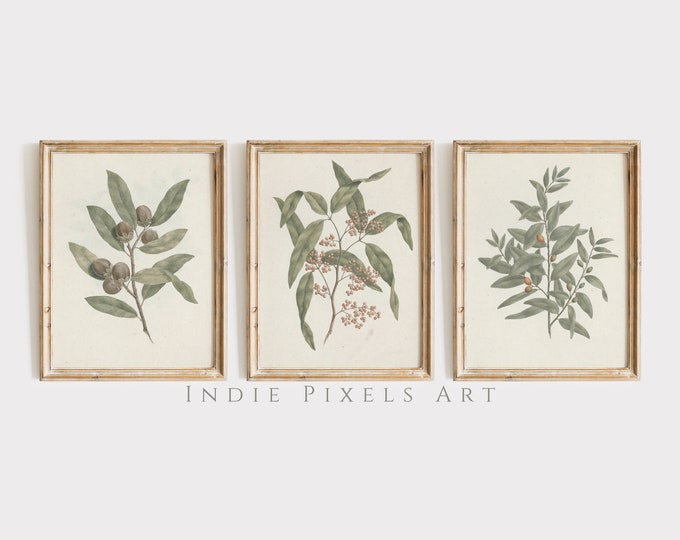 Vintage Neutral Botanical Gallery Wall Print SET of 3 | Farmhouse Country Prints | Sage Green Floral Print Set Digital PRINTABLE