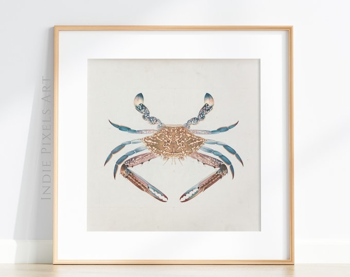 Beach House Wall Art Vintage Crab Painting Print Neutral SQUARE Wall Art | Coastal Farmhouse Beach House Decor Muted Art Digital Download