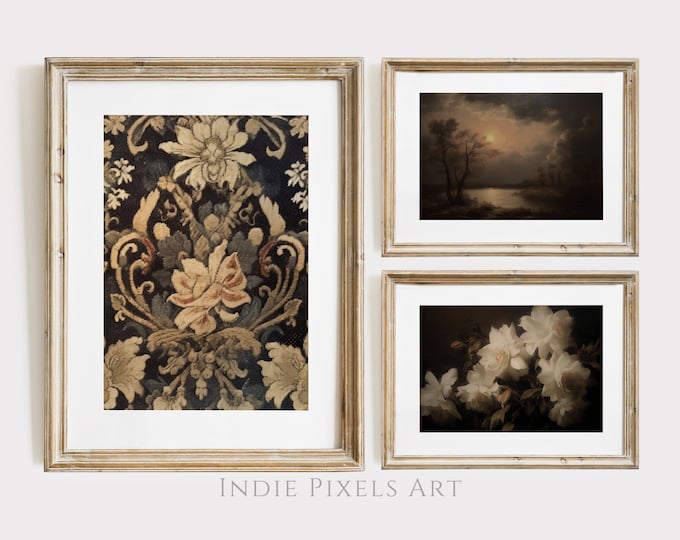 Gallery Wall Prints SET of 3 Dark Printable Art Dark Gallery Wall Collage Moody Wall Art Set Vintage Style Art Moody Dark Academia