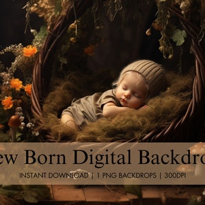 Newborn Digital Fairy Forest Backdrop, Mushroom Forest Digital Background, Newborn Composite Photography Studio, Baby Digital Photo Prop