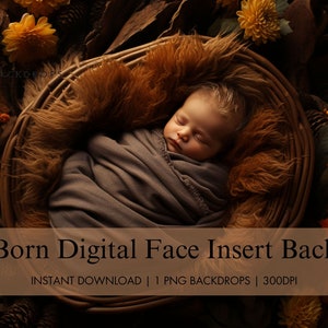 Newborn Digital Fall Woodland Face Insert, Autumn Forest Digital Background, Newborn Composite Photography, Baby Digital Photo Backdrop