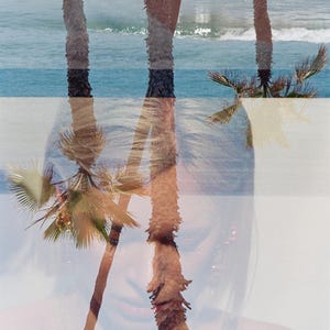 May include: A double exposure photograph of a person's face and palm trees. The person's face is partially obscured by the palm trees, creating a dreamy and ethereal effect. The background is a blurred image of the ocean.