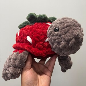 Froot Turtles