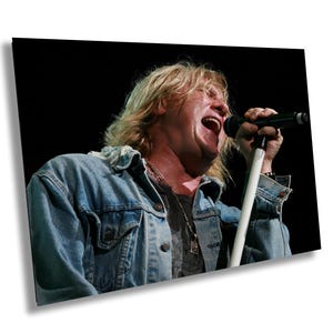 Joe Elliot Of Def Leppard (1103)