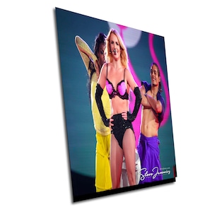 Britney Spears (8799)