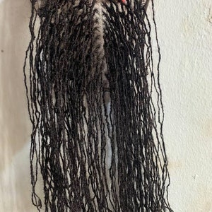 May include: A black lace front wig with long, thin dreadlocks.