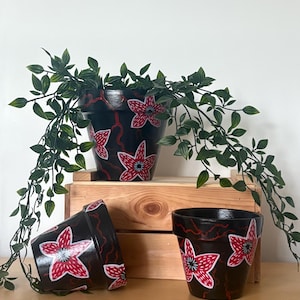 May include: Three black plant pots featuring red and white floral designs and red vein-like accents. The pots are displayed on a wooden crate and table, with green leafy vines. The pots are empty.