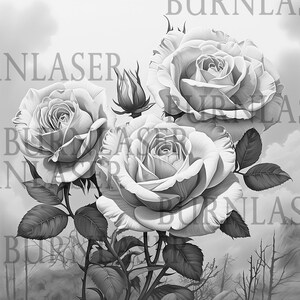 Puede incluir: Una ilustraci&oacute;n en blanco y negro de tres rosas con tallos y hojas. Las rosas est&aacute;n en plena floraci&oacute;n y tienen un aspecto delicado y rom&aacute;ntico.