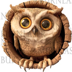 Puede incluir: Un b&uacute;ho marr&oacute;n con grandes ojos redondos amarillos asoma desde un tronco de &aacute;rbol. El b&uacute;ho tiene una cara blanca y esponjosa y plumas marrones.