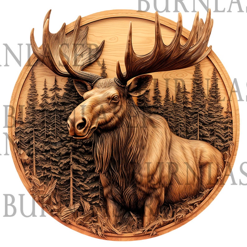 Laser Engraving File Laser Engraving PNG Laser Ready 3D Illusion Laser