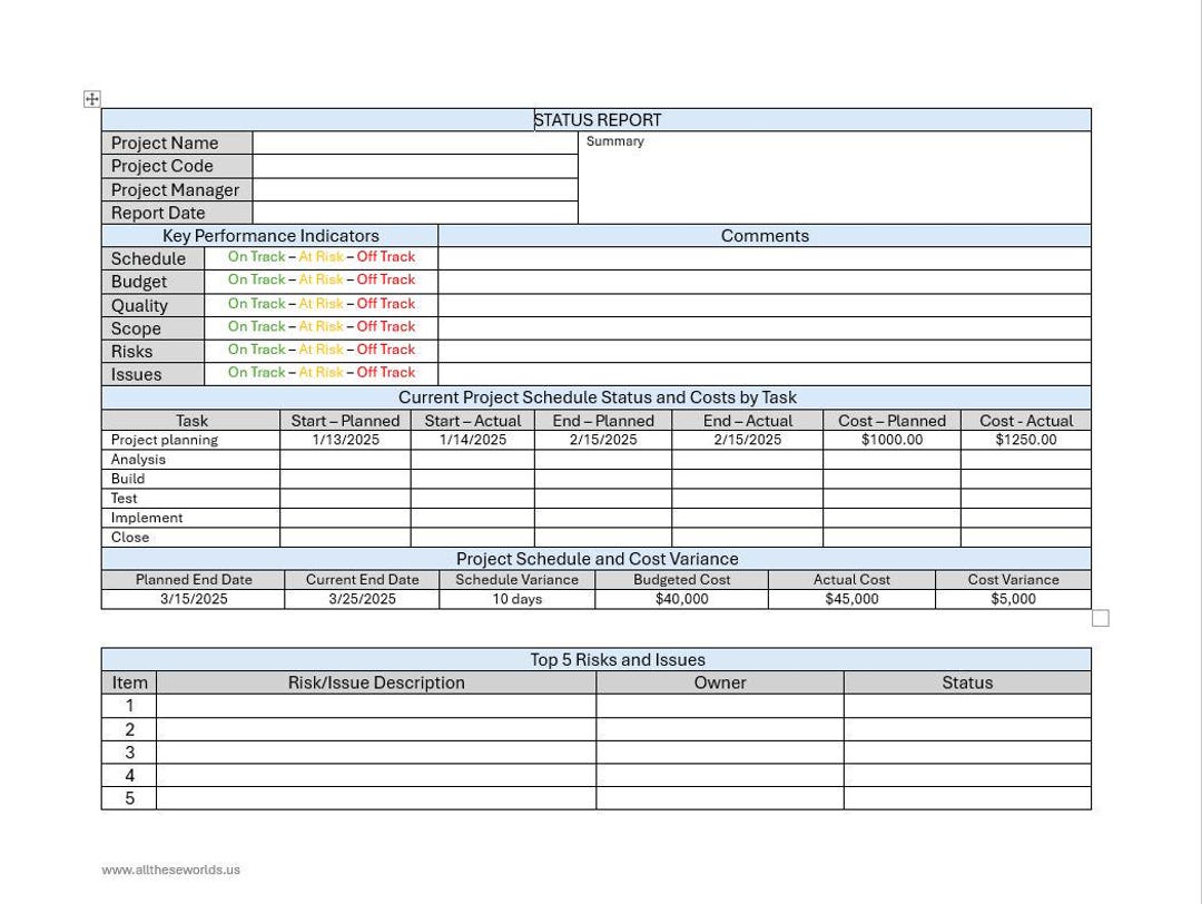 One Page Project Status Report for Business Executives, Managers ...