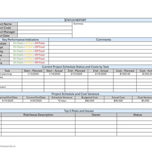 One Page Project Status Report for Business Executives, Managers, Project Managers, and Stakeholders - Digital Download