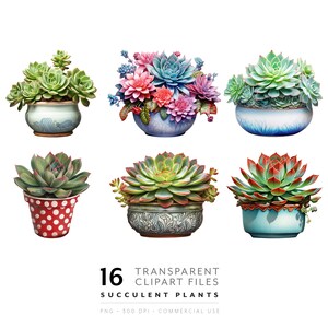 Kaktus Pflanzen Clipart - Sukkulenten PNG, Aquarell Blumen Clip Art, Botanischer Planner Aufkleber & Blumenillustration für Karte, Pflanzenliebhaber