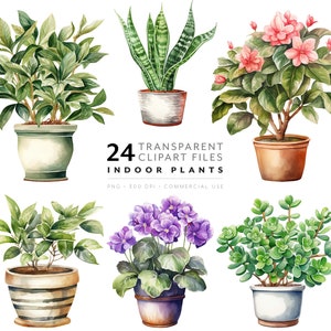 Imágenes prediseñadas de plantas de interior: flores de acuarela PNG, linda planta de interior en maceta, planta de serpiente, monstera, gráficos de violetas y orquídeas, regalo para amantes de las plantas