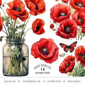 Aquarell Mohnblume Clipart - Rote Mohnblumen PNG Dateien, Wildblumen botanische Illustration, Blumen Grafiken für Journal, Scrapbook & Planer
