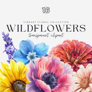 Wildflower Clipart, Buquê de flores silvestres PNGs, Primavera e verão Clip Art para design floral, convite de cartão de casamento, ilustração botânica