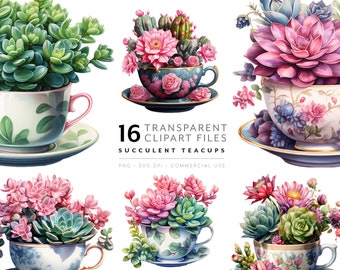 Watercolor Teacup Succulent Clipart – Floral PNG Files (Digital Download)