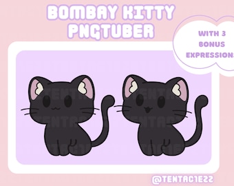 May include: A digital illustration of a black Bombay cat with pink ears and a white spot on each ear. The cat is sitting with its tail curled around its legs. The image is labeled "Bombay Kitty PNGtuber" and "With 3 Bonus Expressions".