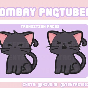 May include: A purple and white sticker with a black cat with pink ears. The cat has two different expressions, one with angry eyes and one with an open mouth. The text "TRANSITION FACES" is above the cat images. The text "INSTA: @NIVS.M @TENTAC1E22" is below the cat images.