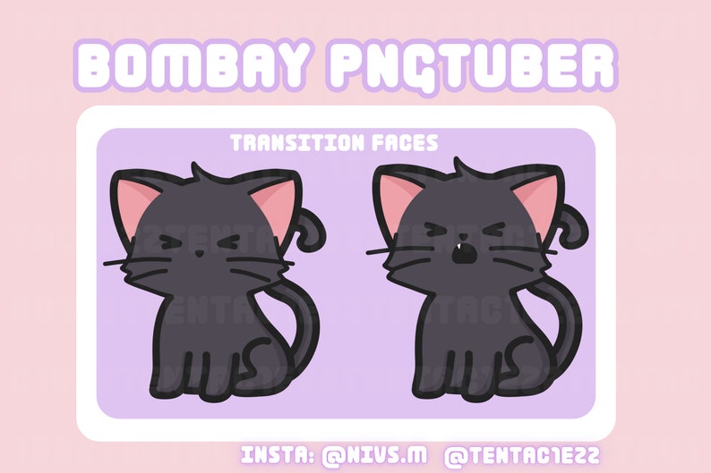 May include: A purple and white sticker with a black cat with pink ears. The cat has two different expressions, one with angry eyes and one with an open mouth. The text "TRANSITION FACES" is above the cat images. The text "INSTA: @NIVS.M @TENTAC1E22" is below the cat images.