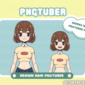 Cute Brown Haired PNGTuber for Twitch and Youtube Stream |  Premade PNGTuber | Burnette PNGtuber | Cute PNGtuber