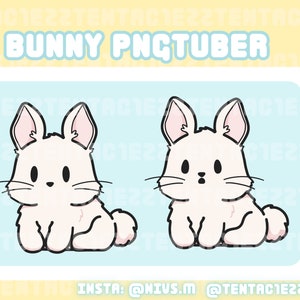 Cute White Bunny PNGtuber for Twitch and YouTube Stream | Cute PNGtuber | Bunny PNGtuber | Rabbit PNGtuber