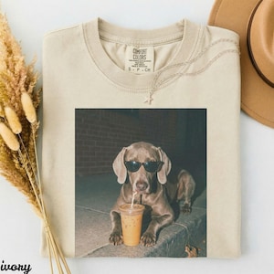 May include: Ivory-coloured t-shirt featuring a dog in sunglasses sipping from a cup. The shirt has a Comfort Colors label. A gold necklace and a tan hat are also visible.