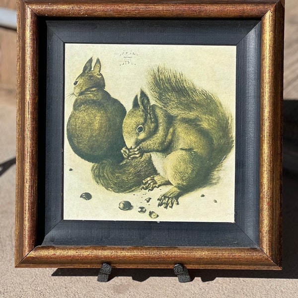 Two Squirrels Print by Albrecht Durer