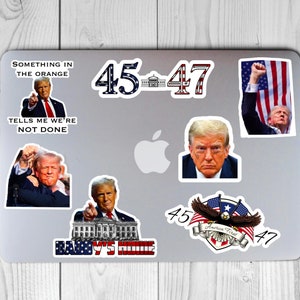 Trump Sticker, Sticker Pack, 45th President, 47th President, White House, Fathers Day, 2024 Election, Eagle, MAGA 2024, Donald Trump