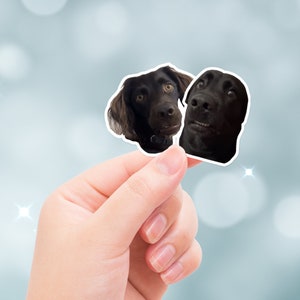 Chiens Tiktok, Sticker chiens confus, Chiens maladroits, Regard maladroit, Deux chiens qui regardent, sticker drôle, Sticker meilleur ami, Sticker pour ordinateur portable