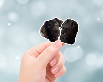 Tiktok Dogs, Confused Dogs Sticker, Awkward Dogs, Awkward Staring, Two Dogs Staring, funny sticker, Best Friend Sticker, Laptop Sticker