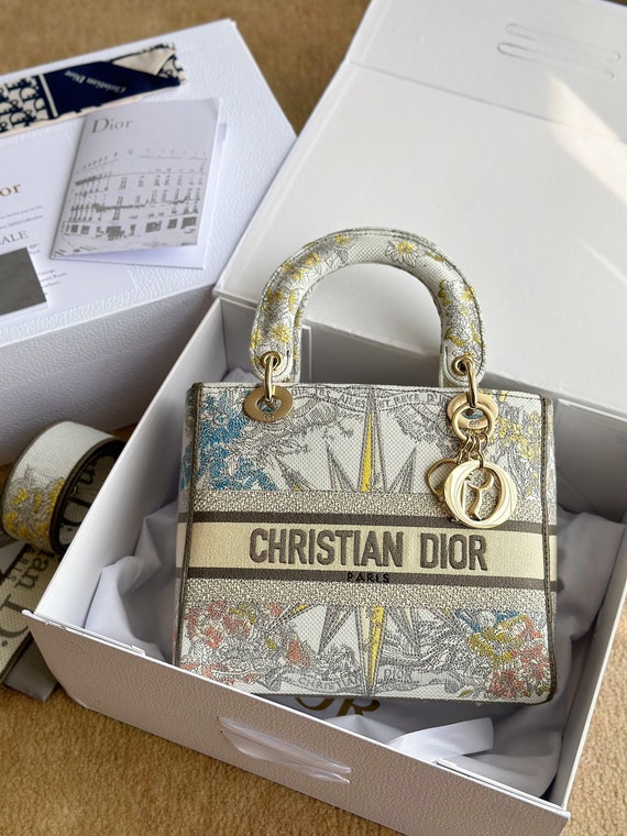 Luxury Women Bag, Christian Dior Embroidery Bag, H