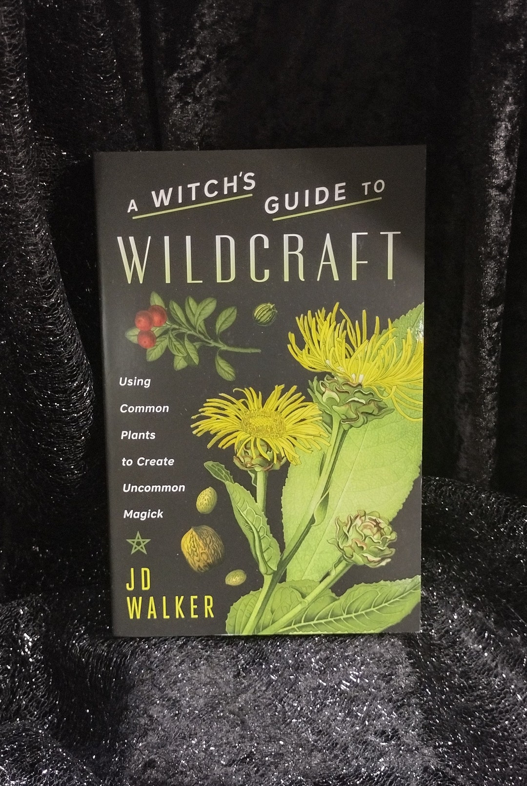 A Witch's Guide to Wildcraft Etsy