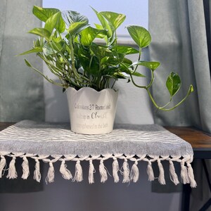 May include: A potted pothos plant with variegated green and yellow leaves sits in a white scalloped ceramic planter. The planter features the black text Colossians 2:7 Rooted and built up in Christ, strengthened in the faith.