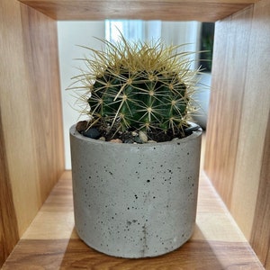 Round Concrete Planter 6 inch / Plant Pot / Cement Pots image 4