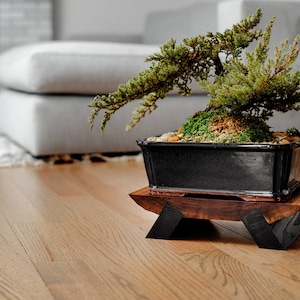 Bonsai stand  - &quot;Live edge Walnut” Plant Stand  / Wood Riser / Wood Display / Bonsai Plant Stand / Soap Tray / Wooden Tray