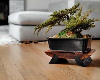 Bonsai stand  - "Live edge Walnut” Plant Stand  / Wood Riser / Wood Display / Bonsai Plant Stand / Soap Tray / Wooden Tray