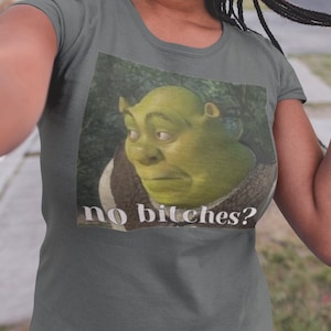 No bitches? / Bored Shrek Ogre Dank Meme Quote Out of Pocket Humor Shirt Funny Saying T-Shirt Gift for Him